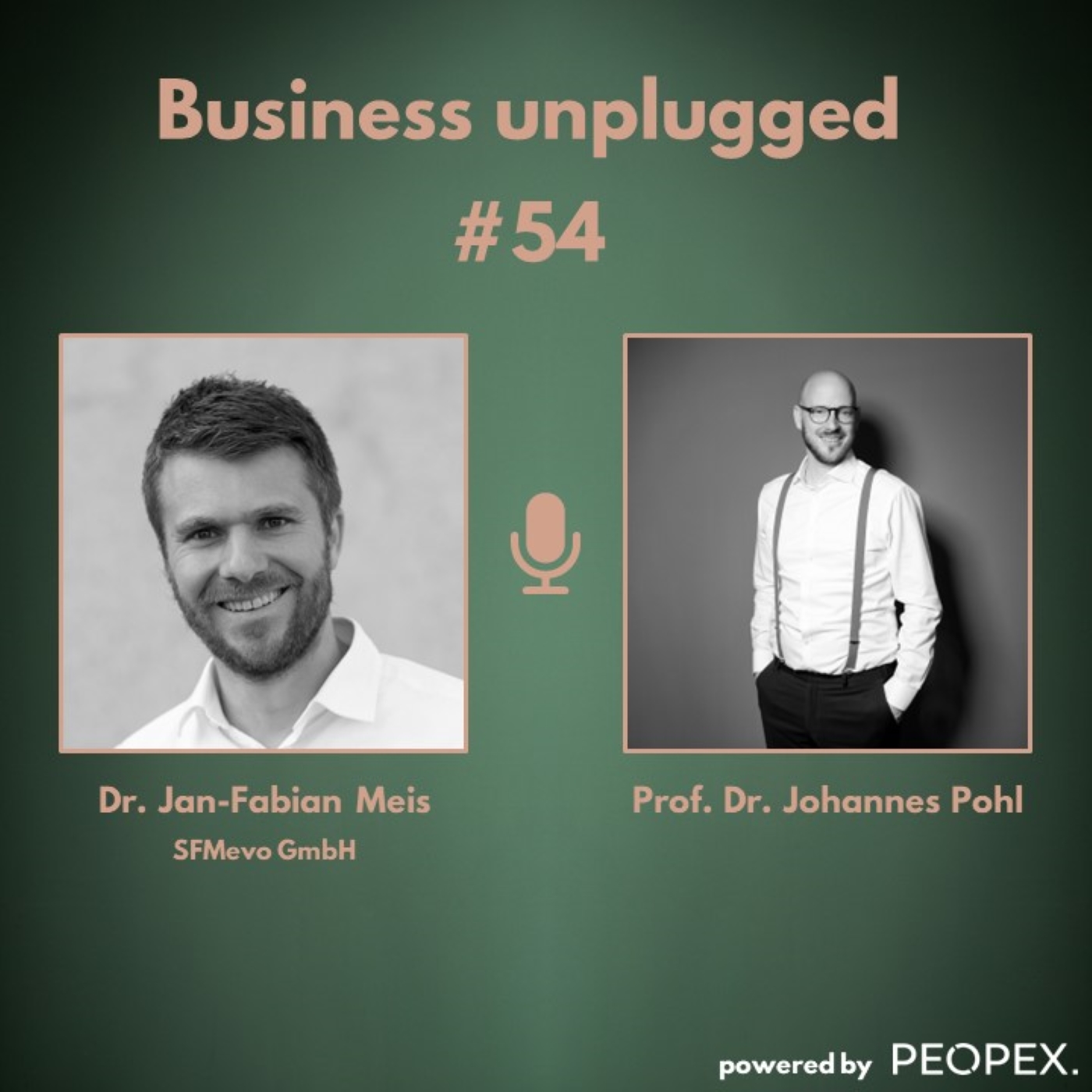 Business unplugged - Menschen, Unternehmen und Aspekte der Digitalisierung