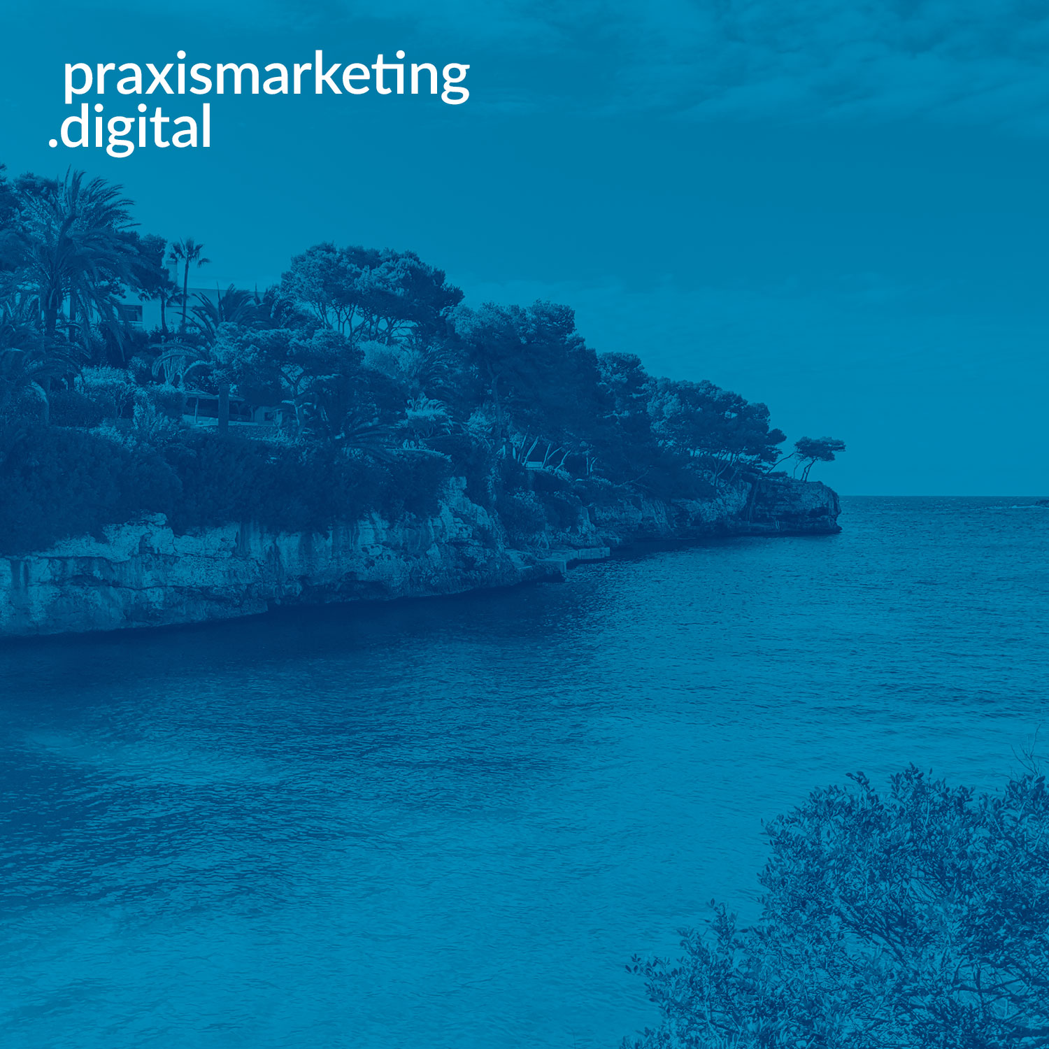 praxismarketing.digital