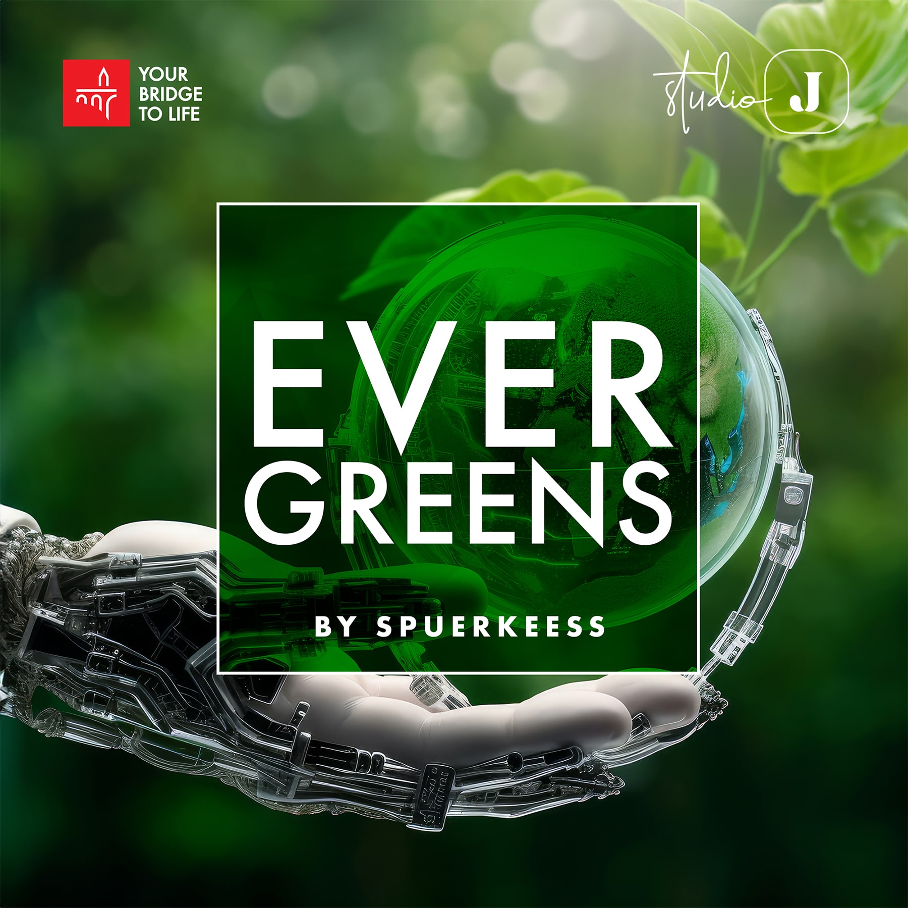 Evergreens by Spuerkeess