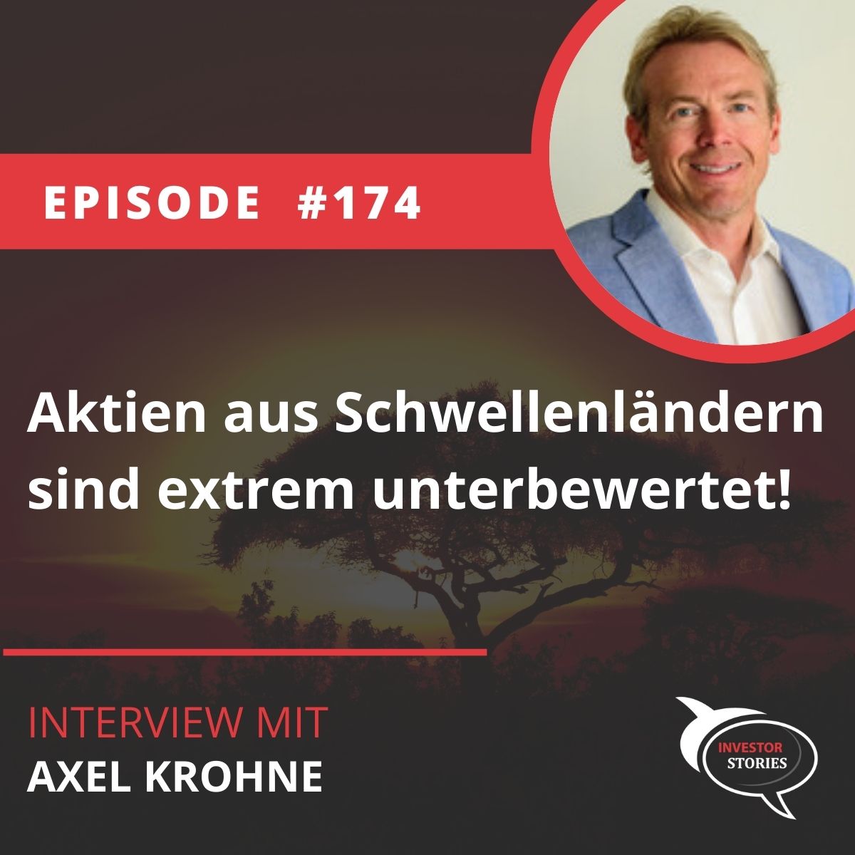 Investor Stories Podcast
