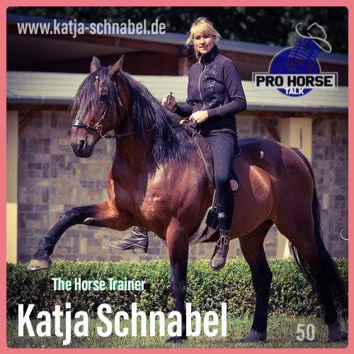 PRO HORSE TALK