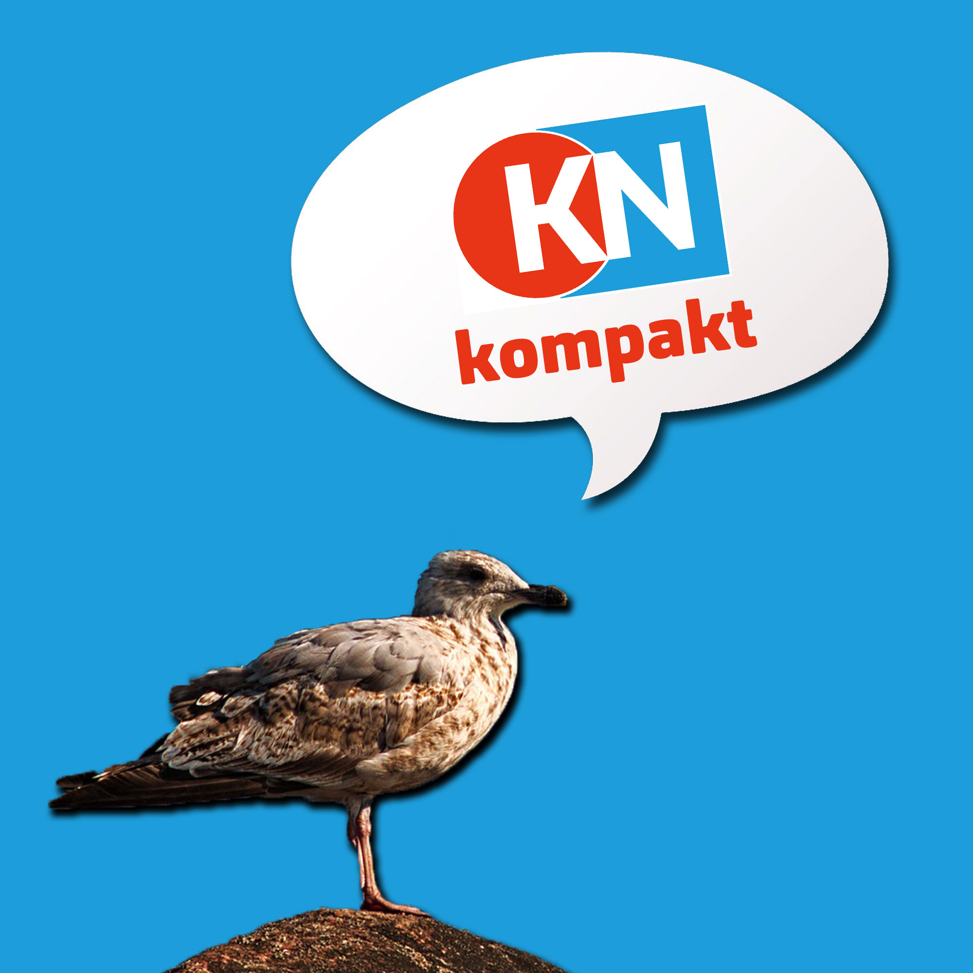 KN kompakt 07. August KN kompakt Podcast