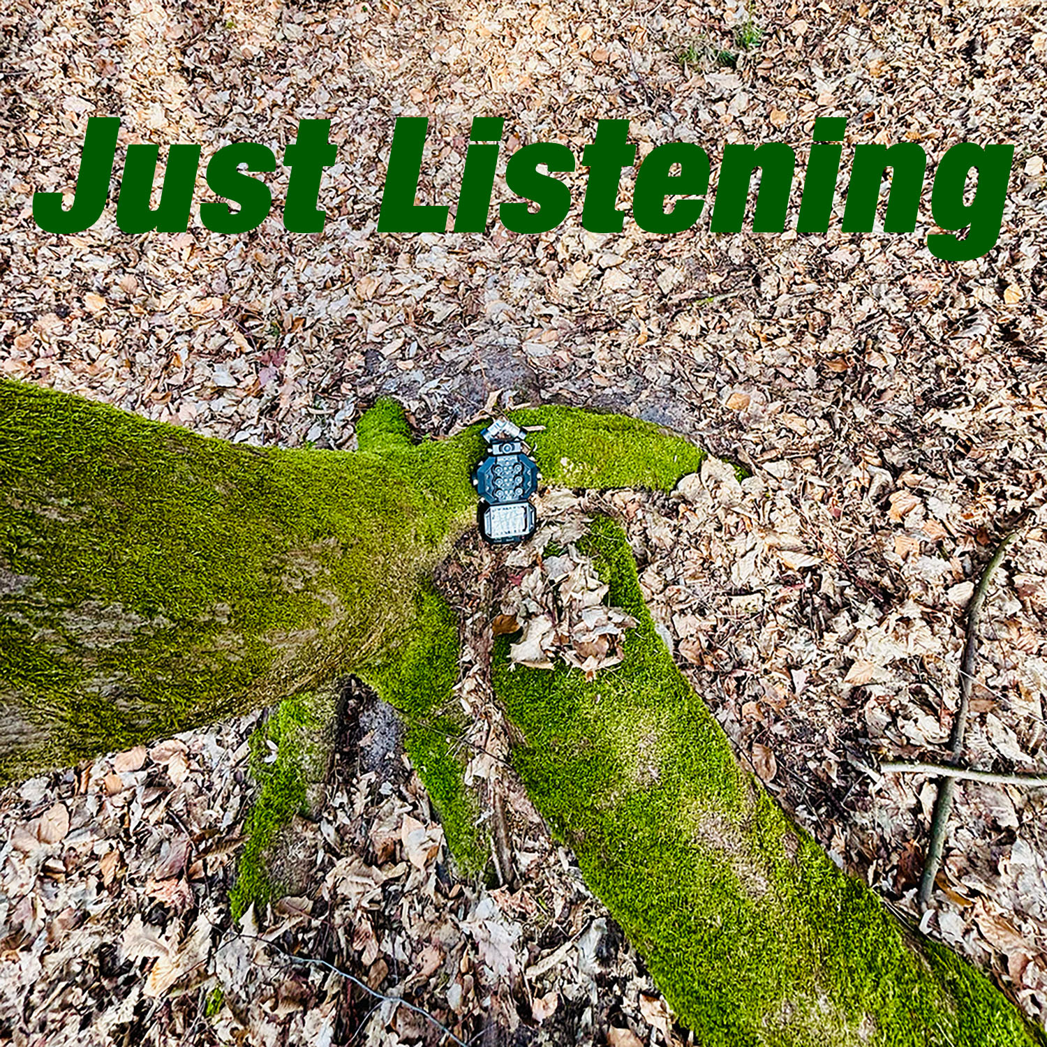 Just Listening podcast artwork