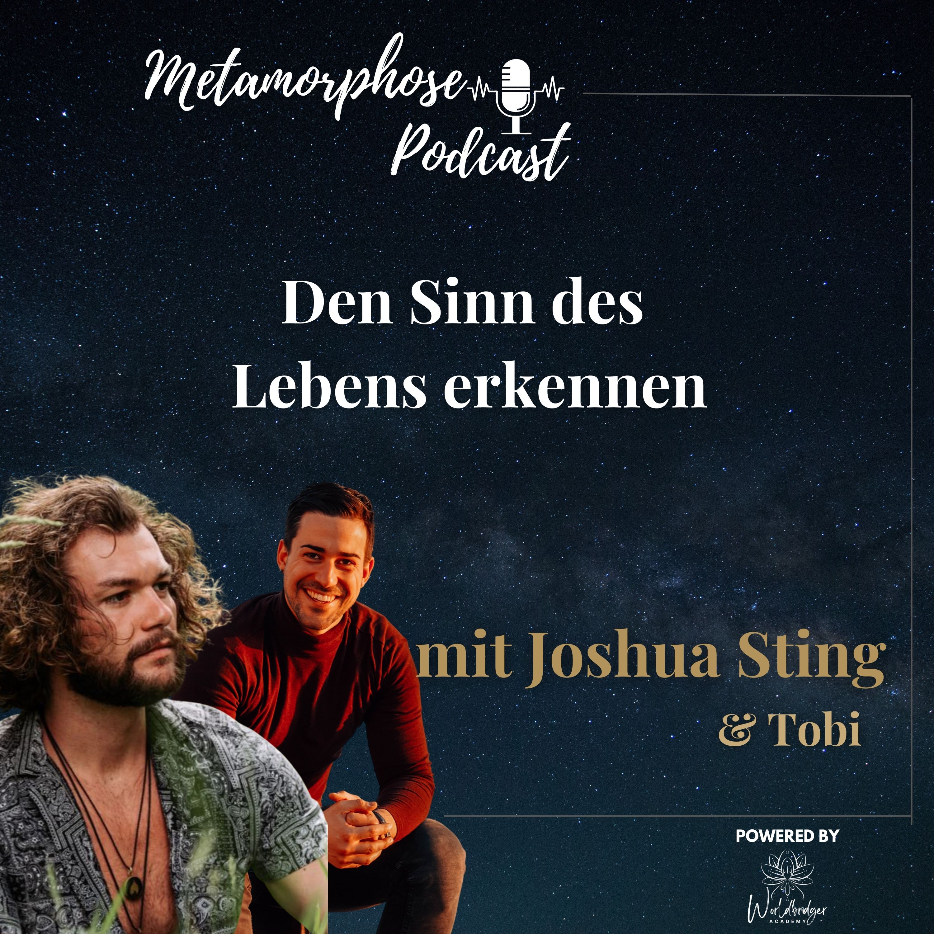 Metamorphose - Dein Podcast für persönliches Wachstum