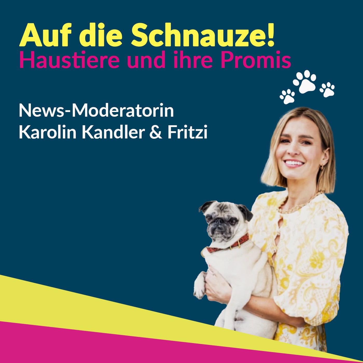 Auf die SCHNAUZE! - Haustiere und ihre Promis