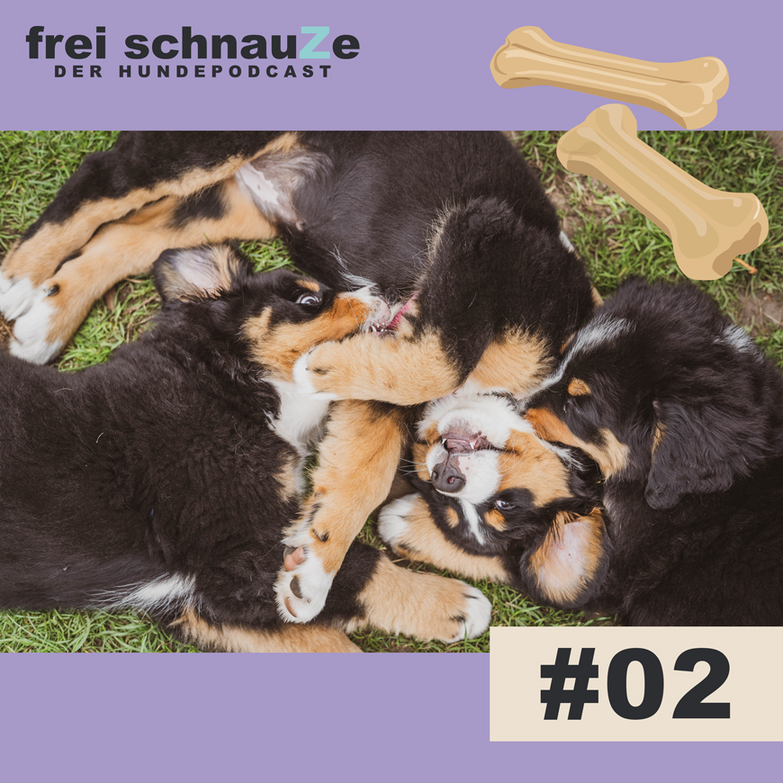 Frei Schnauze – Der Hundepodcast