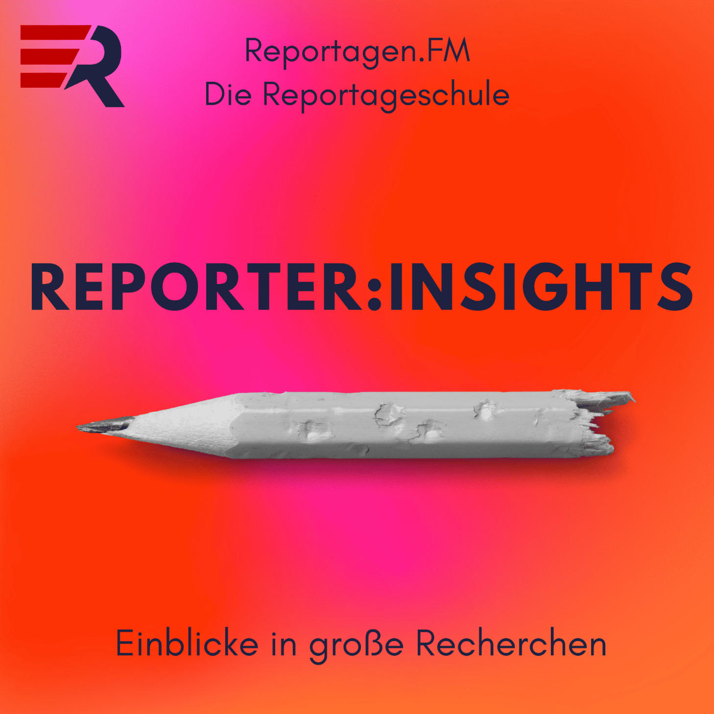 reporter:insights - Einblicke in große Recherchen