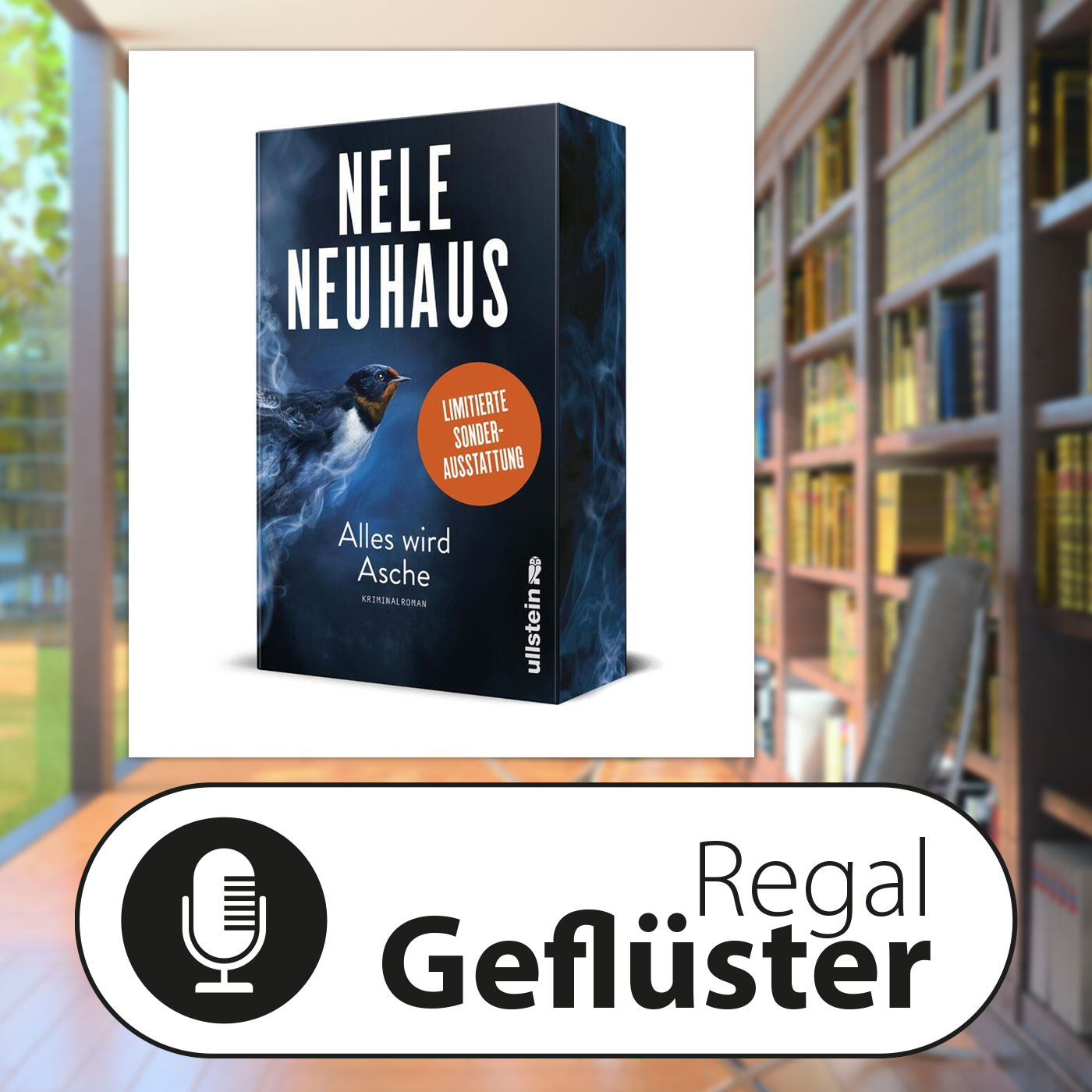 Artwork for RegalGeflüster