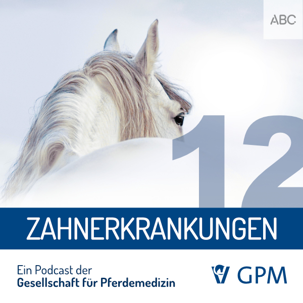 Pferdemedizin heute