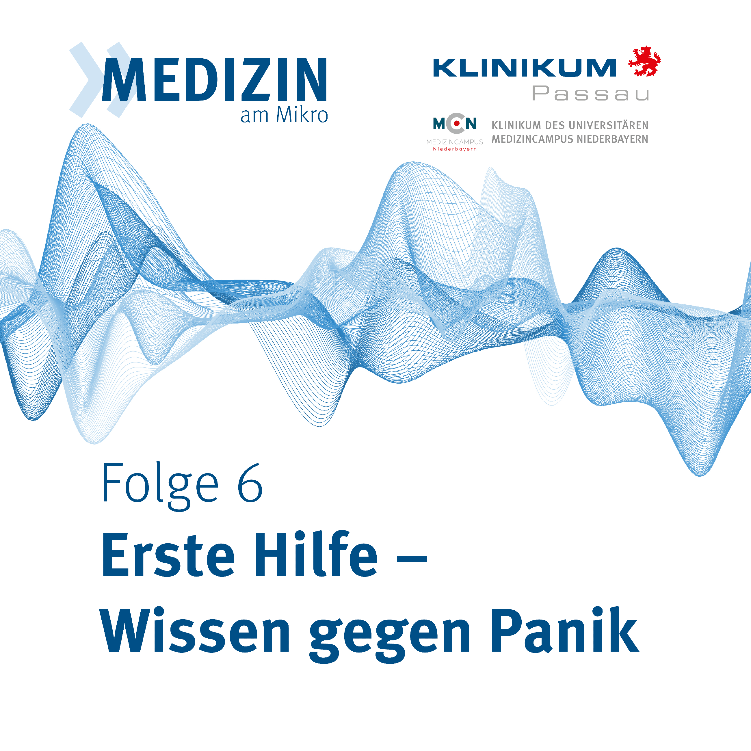 Erste Hilfe - Wissen gegen Panik episode artwork