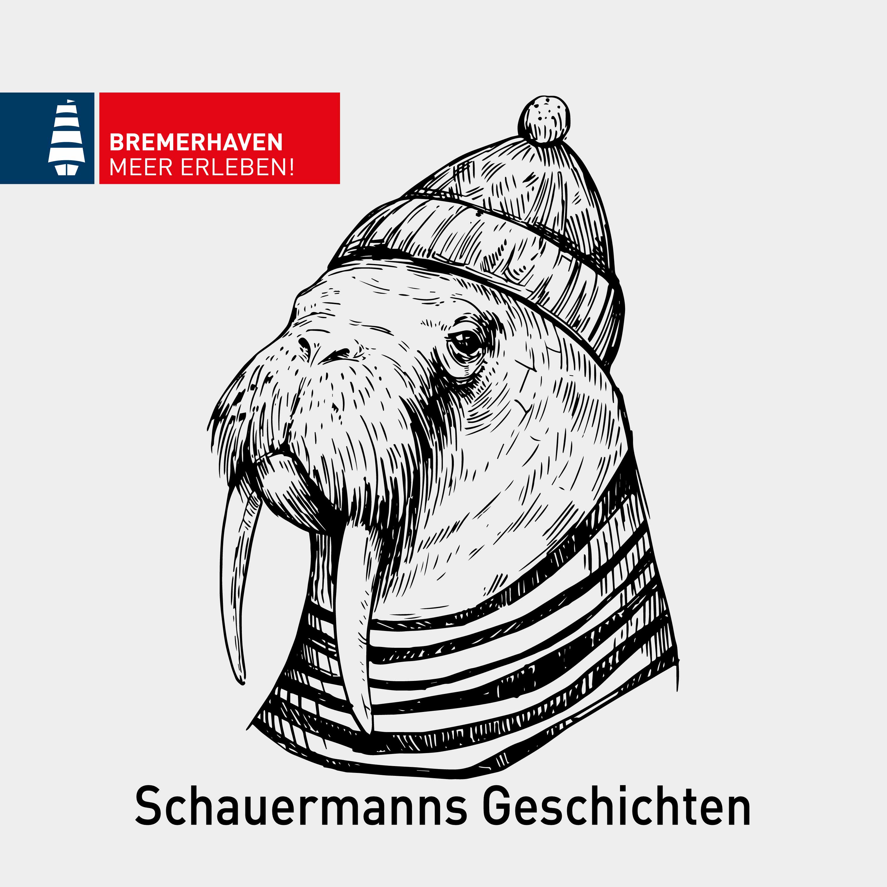 Vom Deich ins Ohr