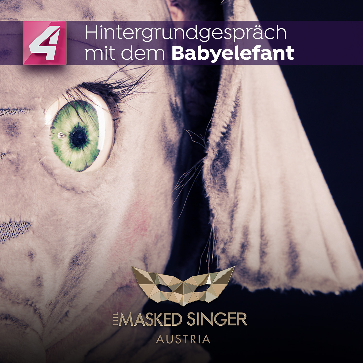 The Masked Singer Austria – Das Hintergrundgespräch