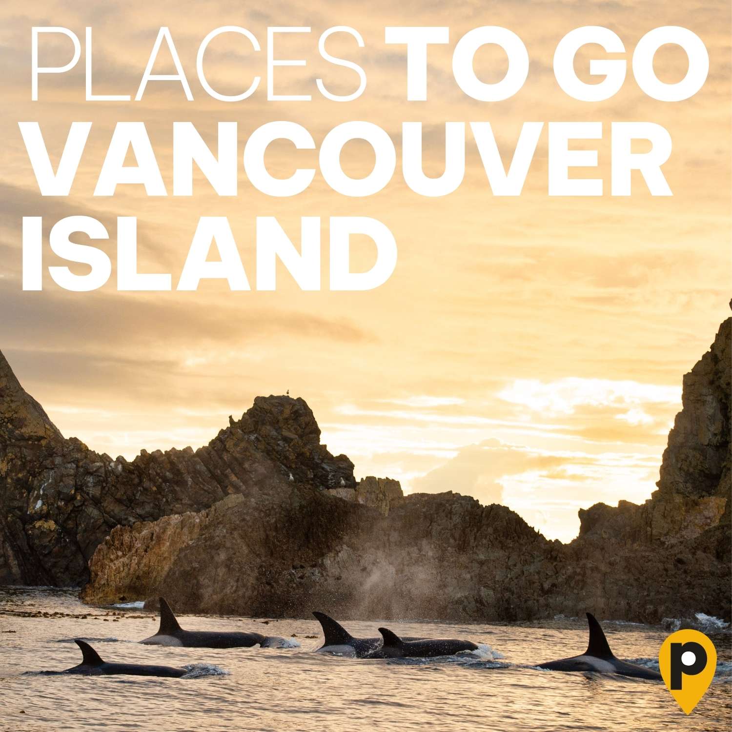 Vancouver Island – Küste & Regenwald Vancouver Island – Küste & Regenwald