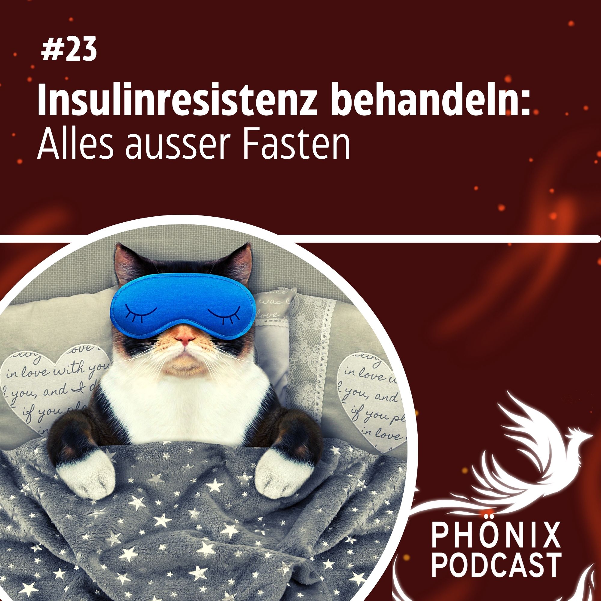 Insulinresistenz behandeln: Alles ausser Fasten #23 - podcast episode cover