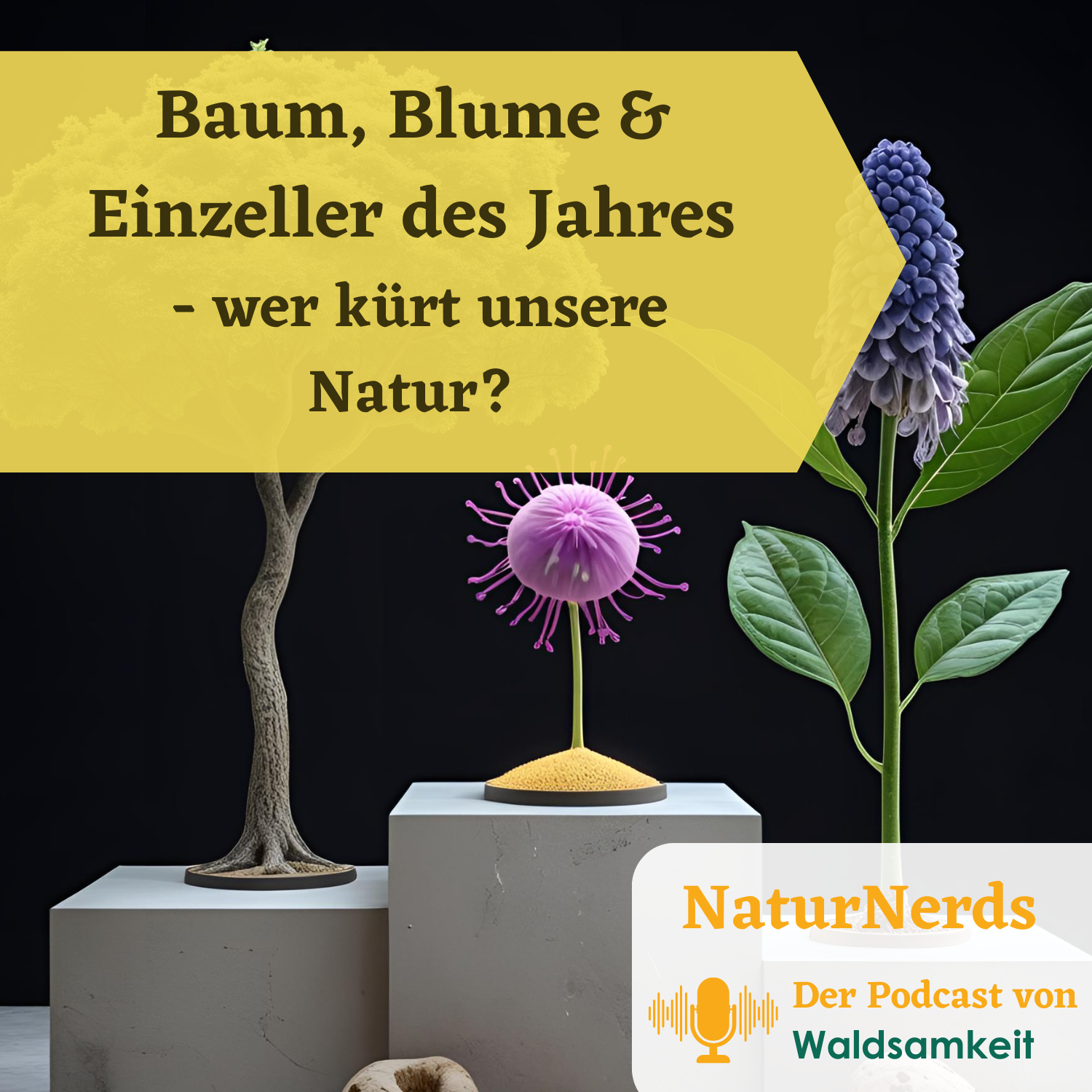 Baum, Blume & Einzeller des Jahres - Wer kürt unsere Natur?