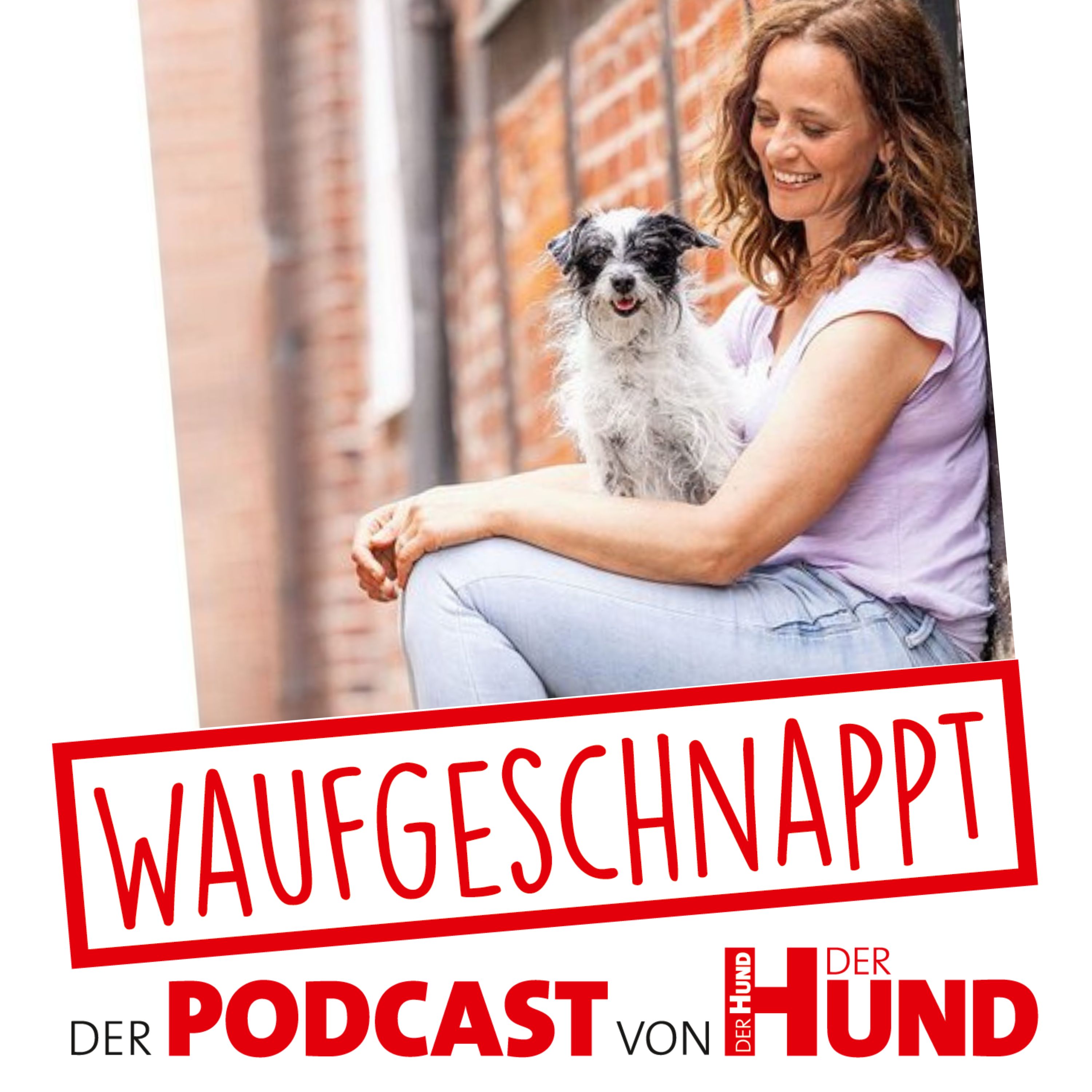 Waufgeschnappt - der Podcast von DER HUND