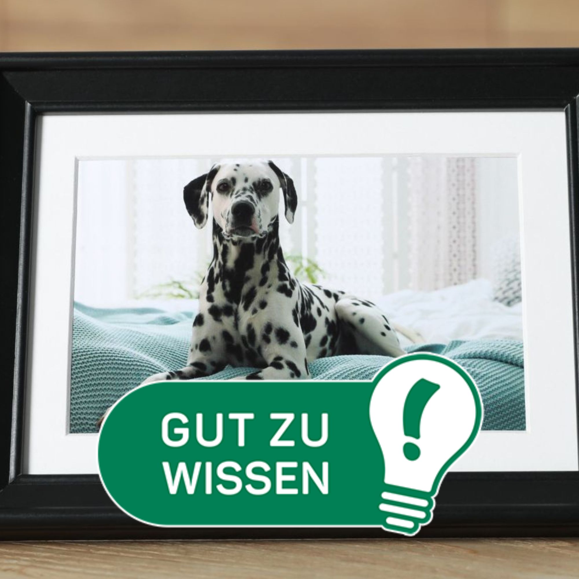 Gut zu wissen