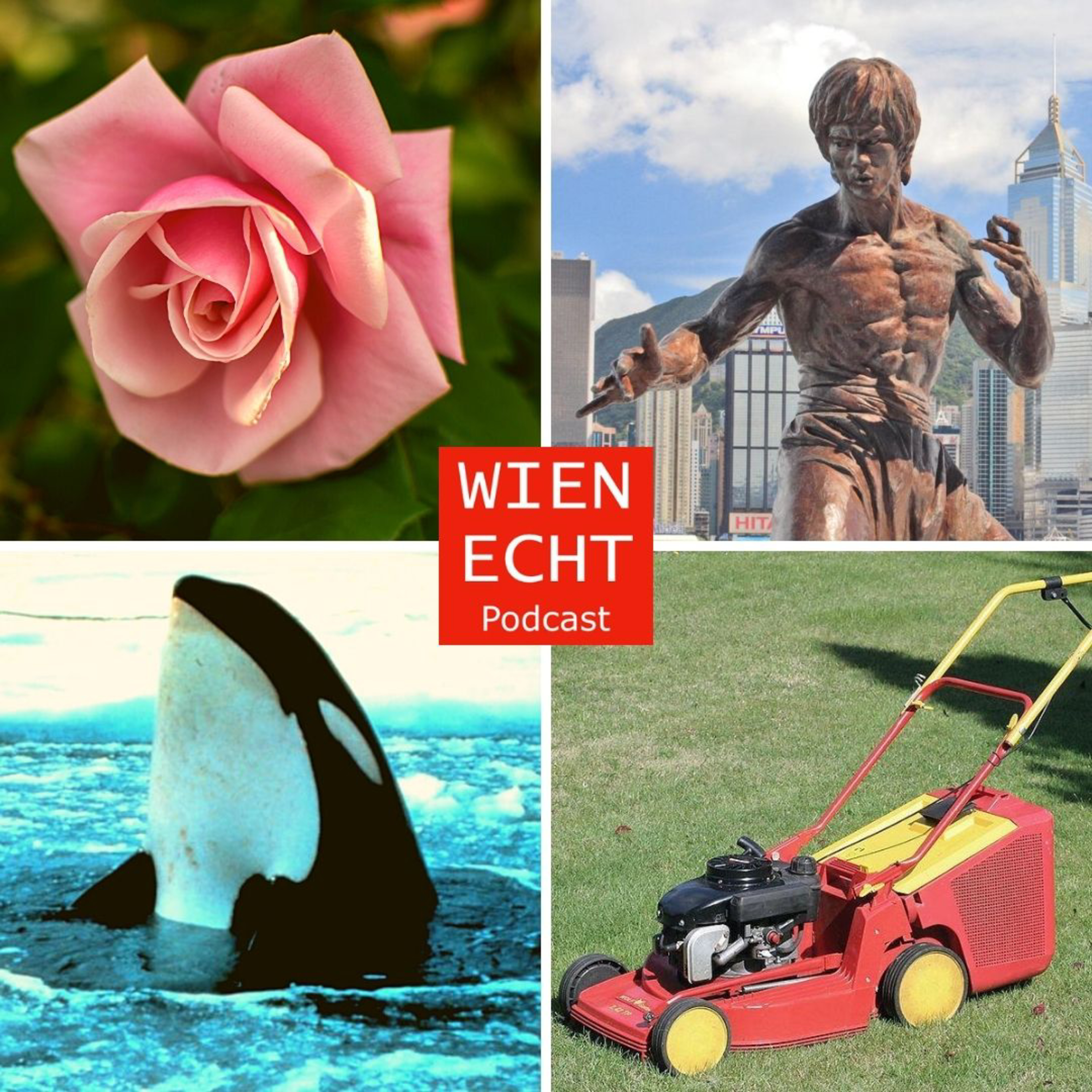 Wien echt