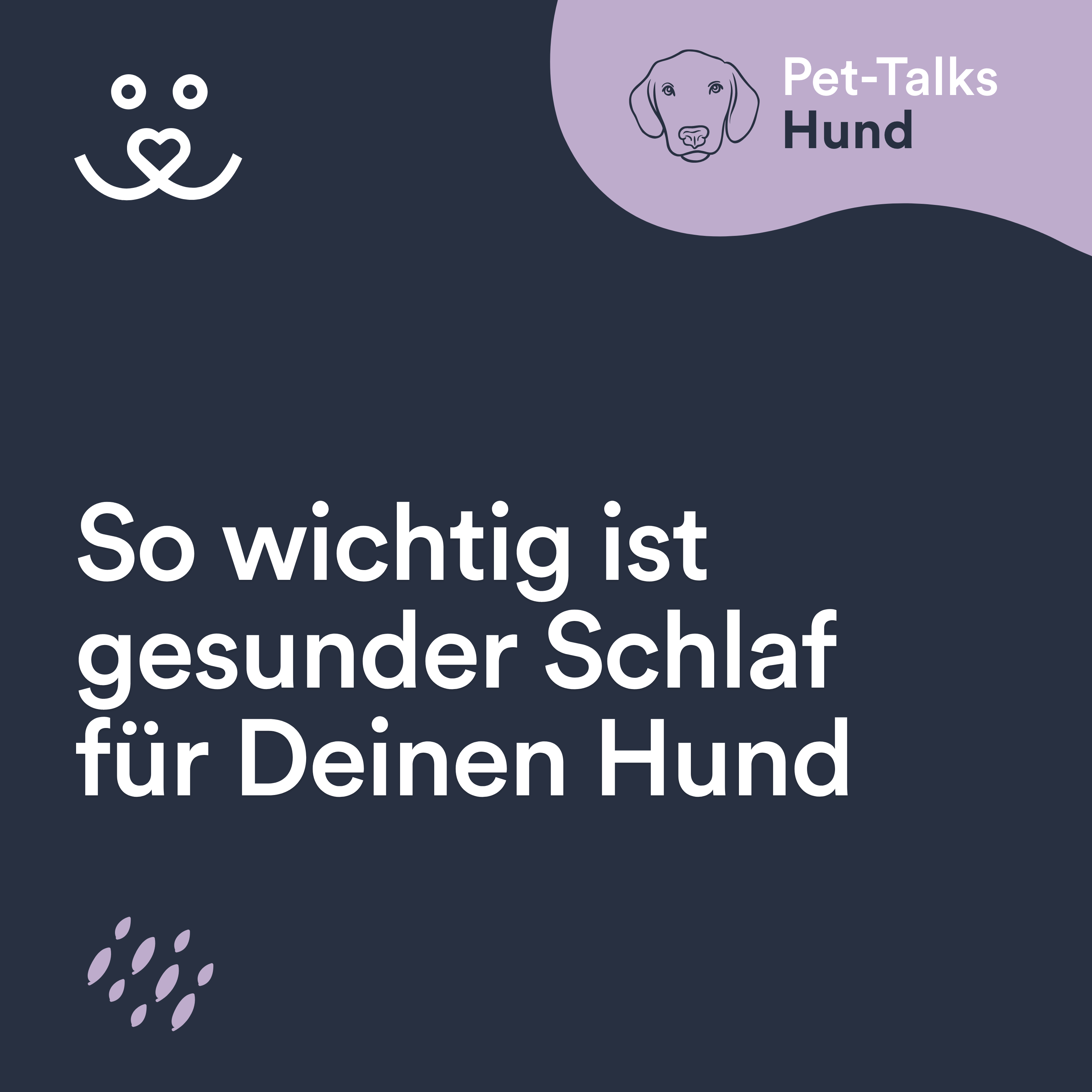 Pet-Talks: Hund – der Ratgeber-Podcast von DeineTierwelt