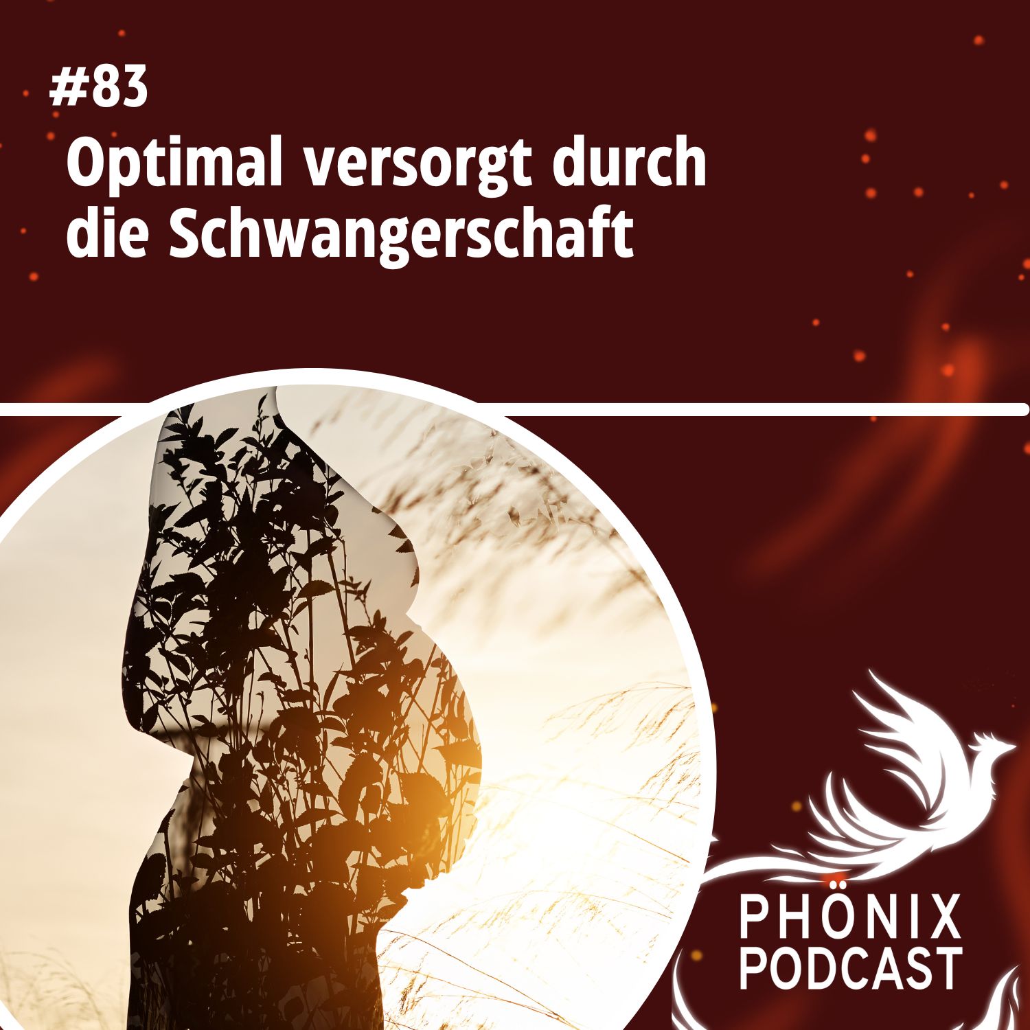 Optimal versorgt durch die Schwangerschaft #83 - podcast episode cover