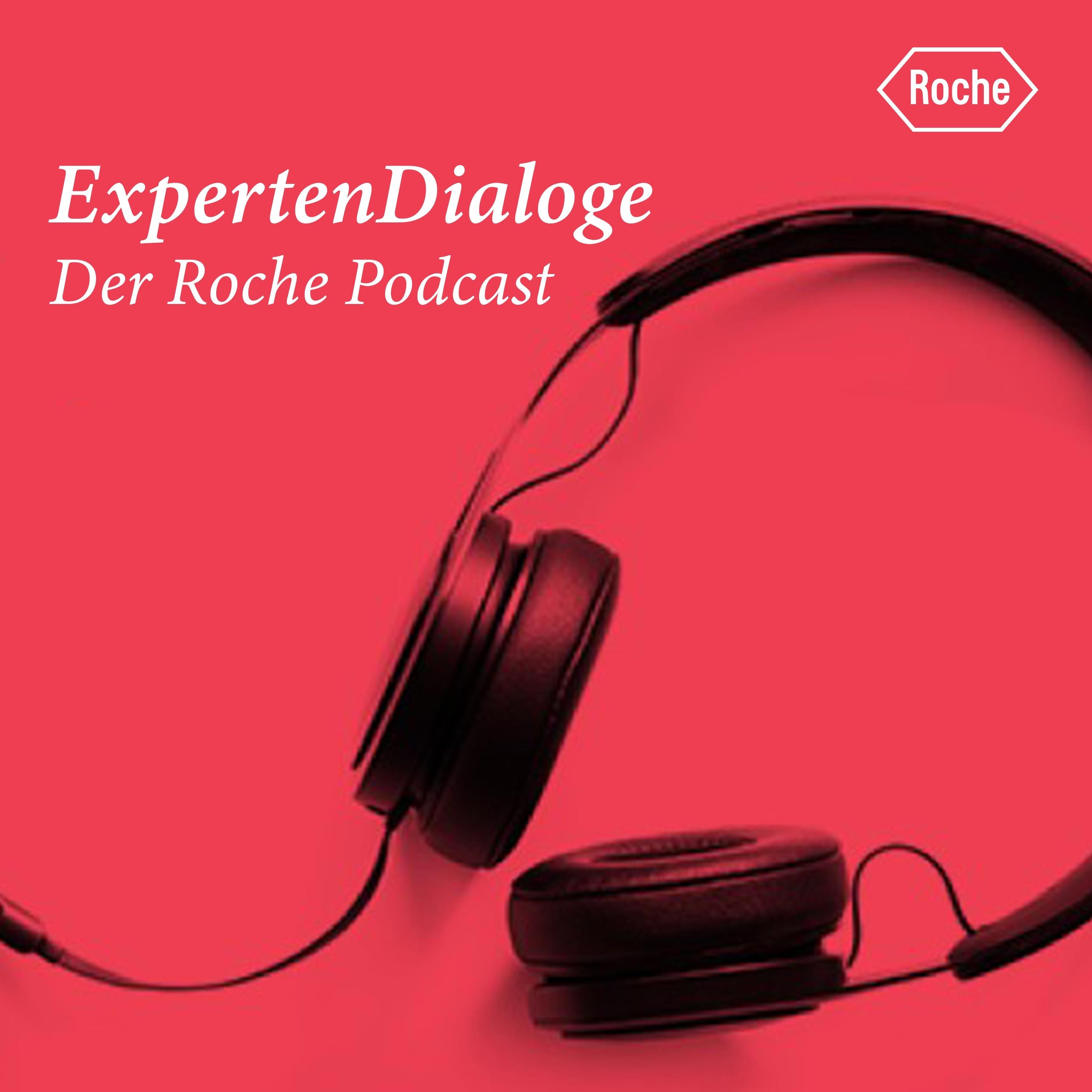 ExpertenDialoge