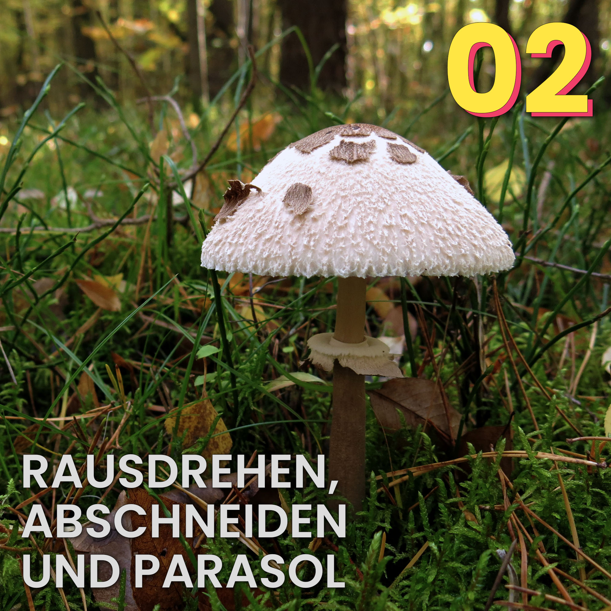 Der Pilzpodcast