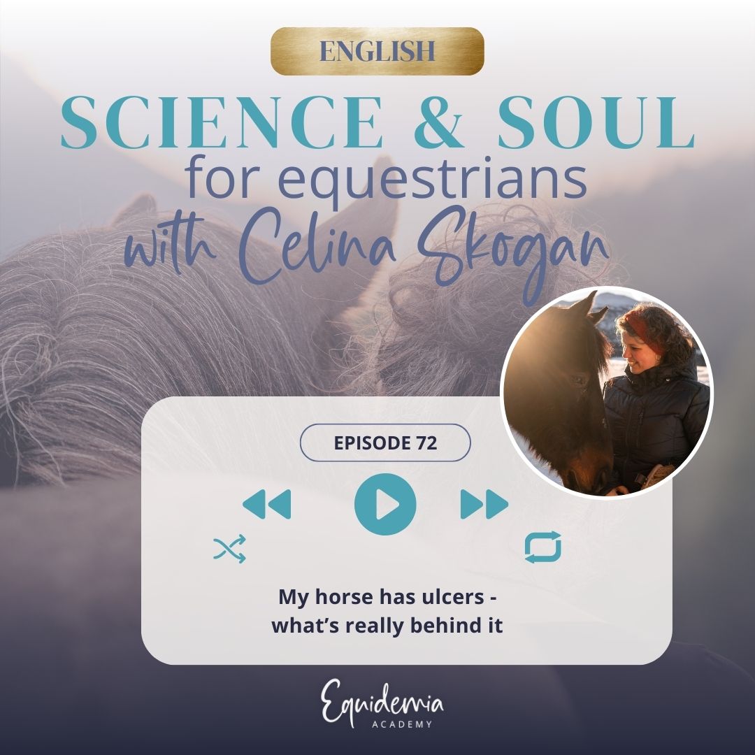 Horsefriends international