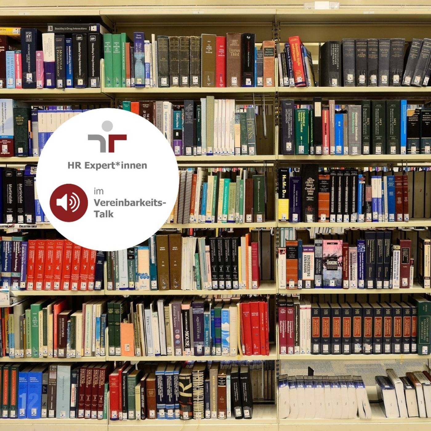 HR-Expert*innen im Vereinbarkeits-Talk