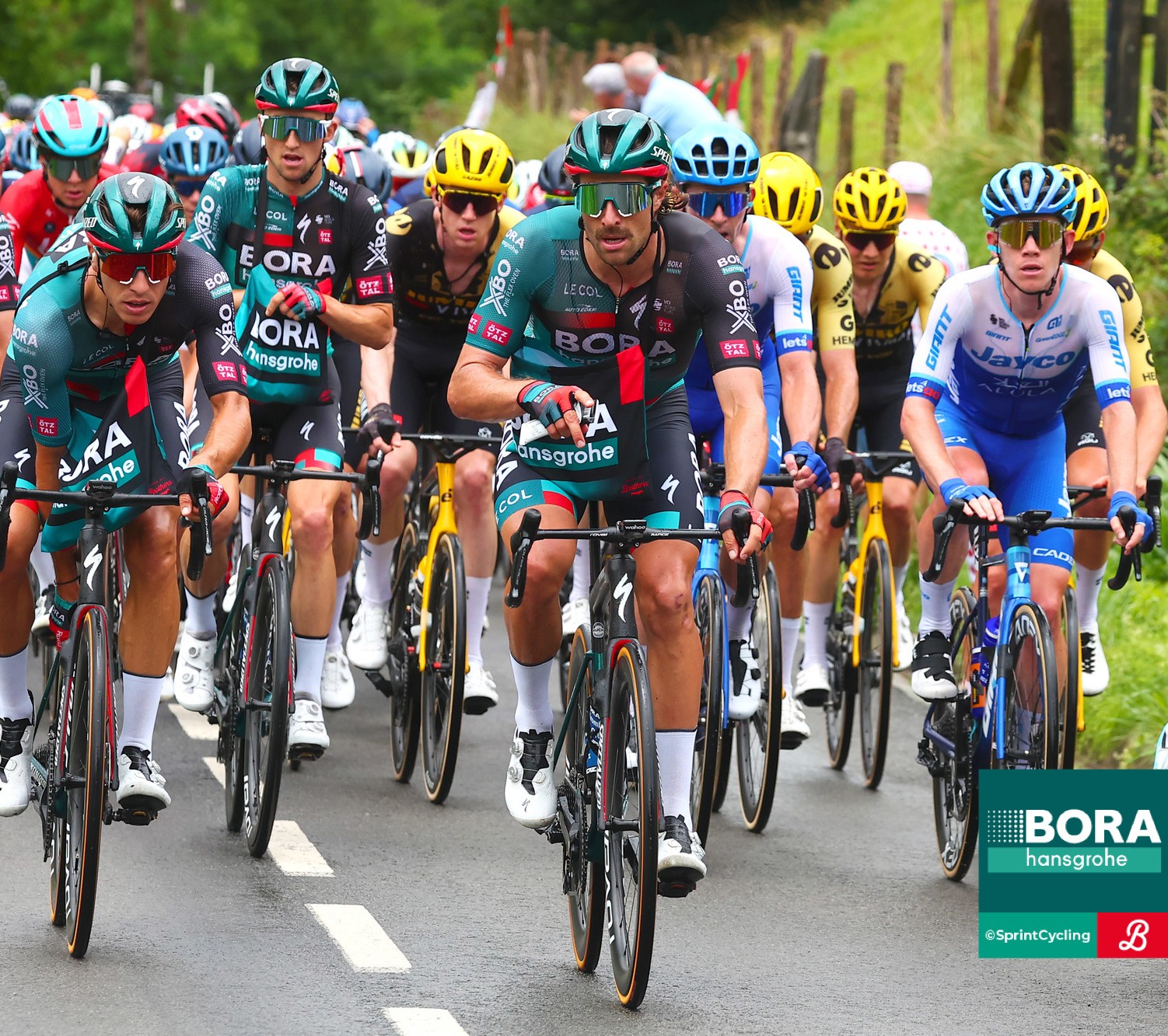 Inside Red Bull-BORA-hansgrohe - Podcast zur Tour de France