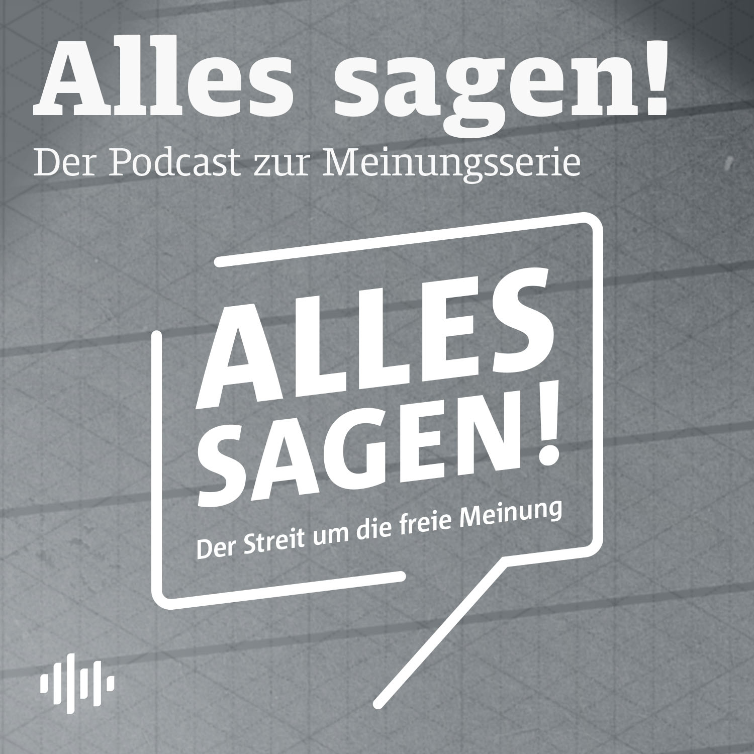 Alles sagen - Der Streit um die freie Meinung podcast artwork