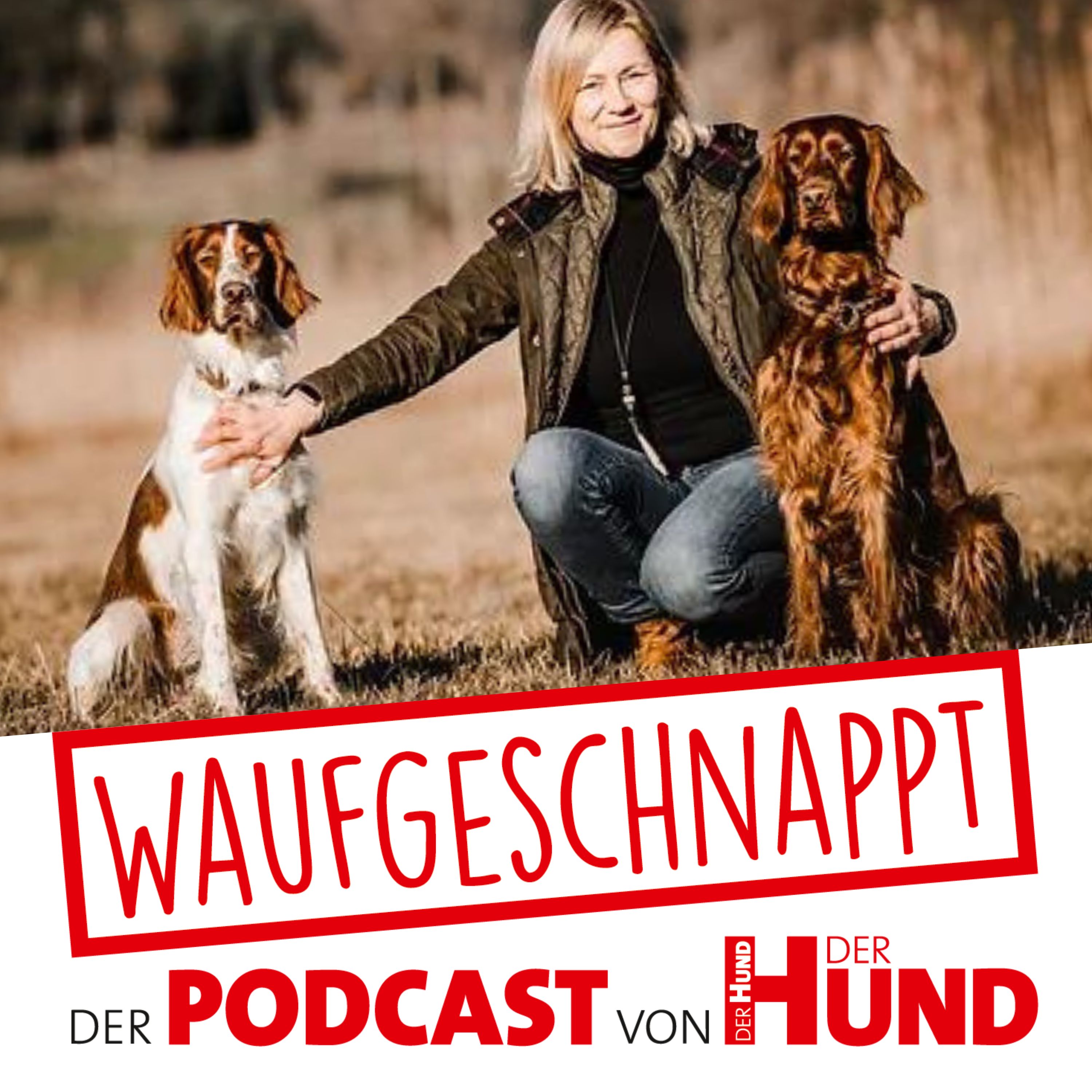 Waufgeschnappt - der Podcast von DER HUND