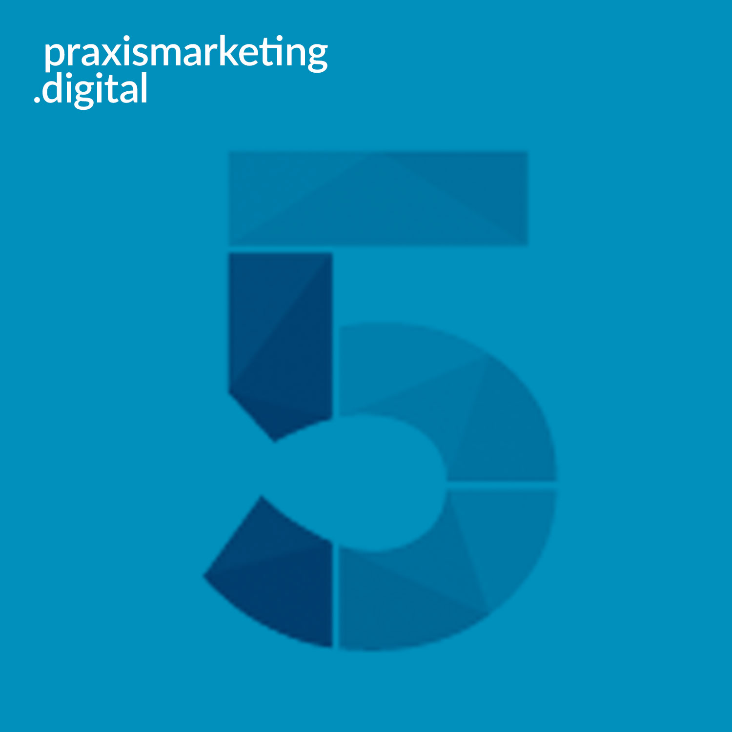praxismarketing.digital