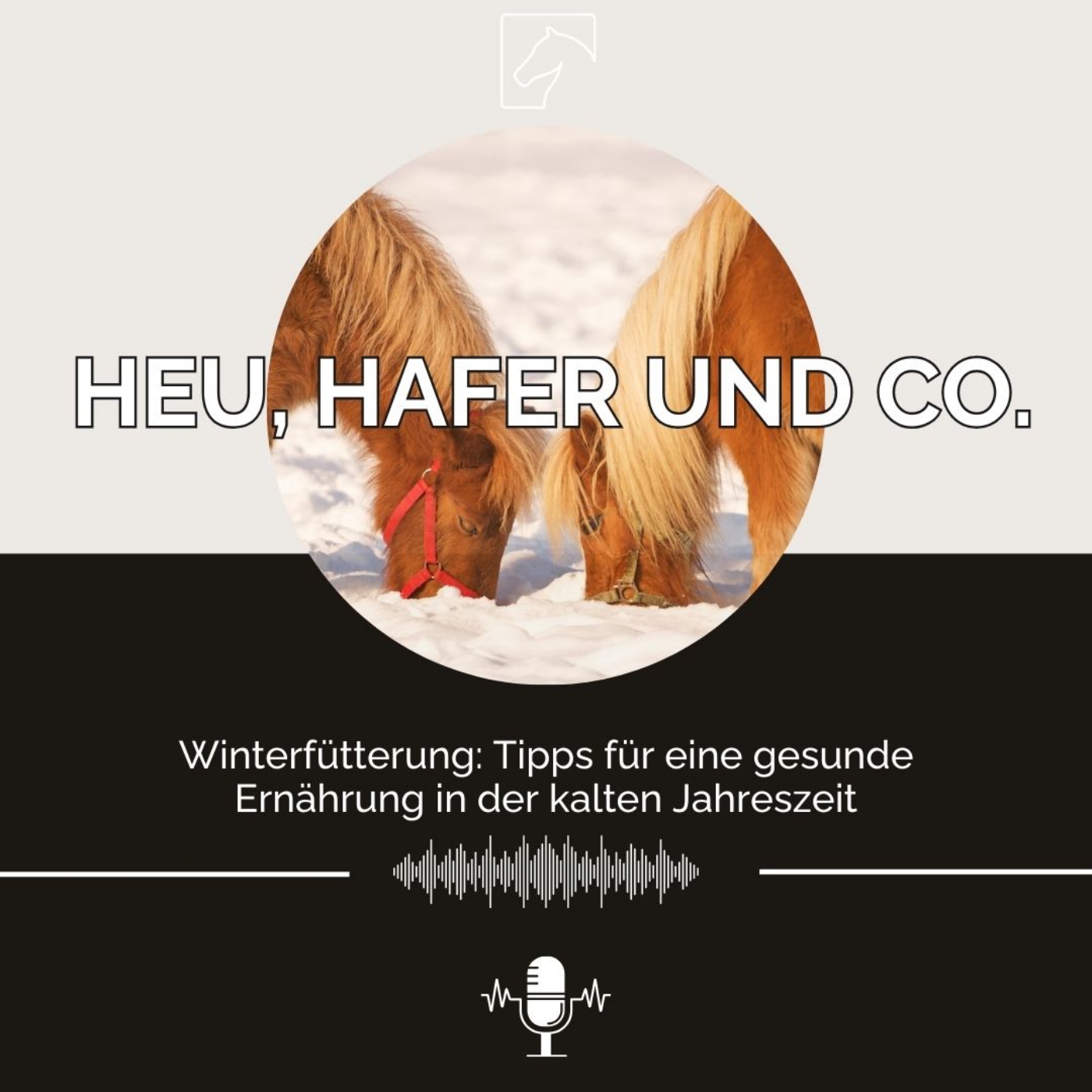 Heu, Hafer & Co: Der Pferdefutter-Podcast