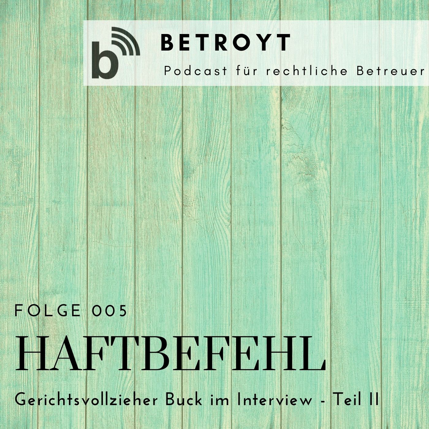 Folge 005 - Interview mit Gerichtsvollzieher Timo Buck - Teil II