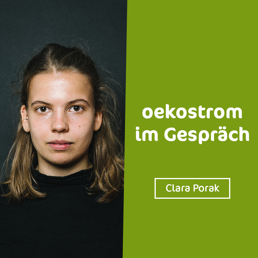 Freitag in der Arena - der oekostrom AG-Talk