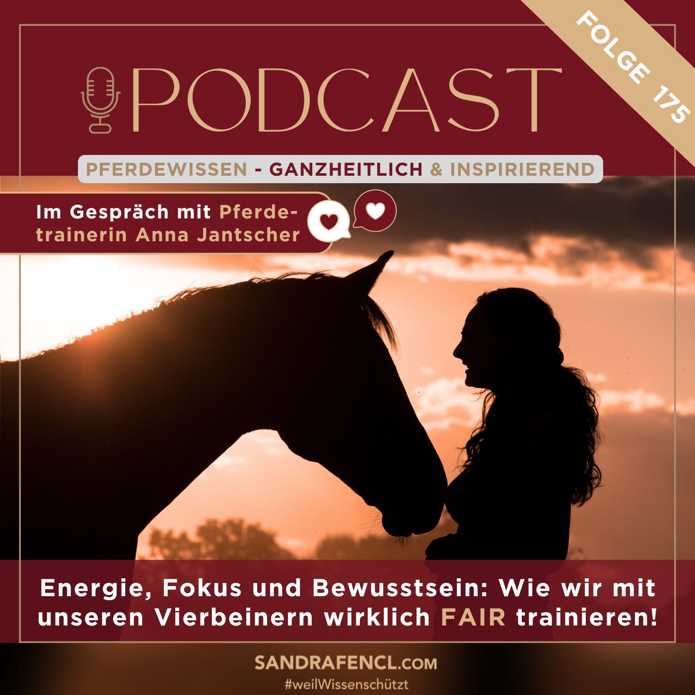 ⚡ Energie, Fokus und Bewusstsein: Wie wir mit unseren Vierbeinern wirklich FAIR trainieren! 🐎 ⚡ Energie, Fokus und Bewusstsein: Wie wir mit unseren Vierbeinern wirklich FAIR trainieren! 🐎