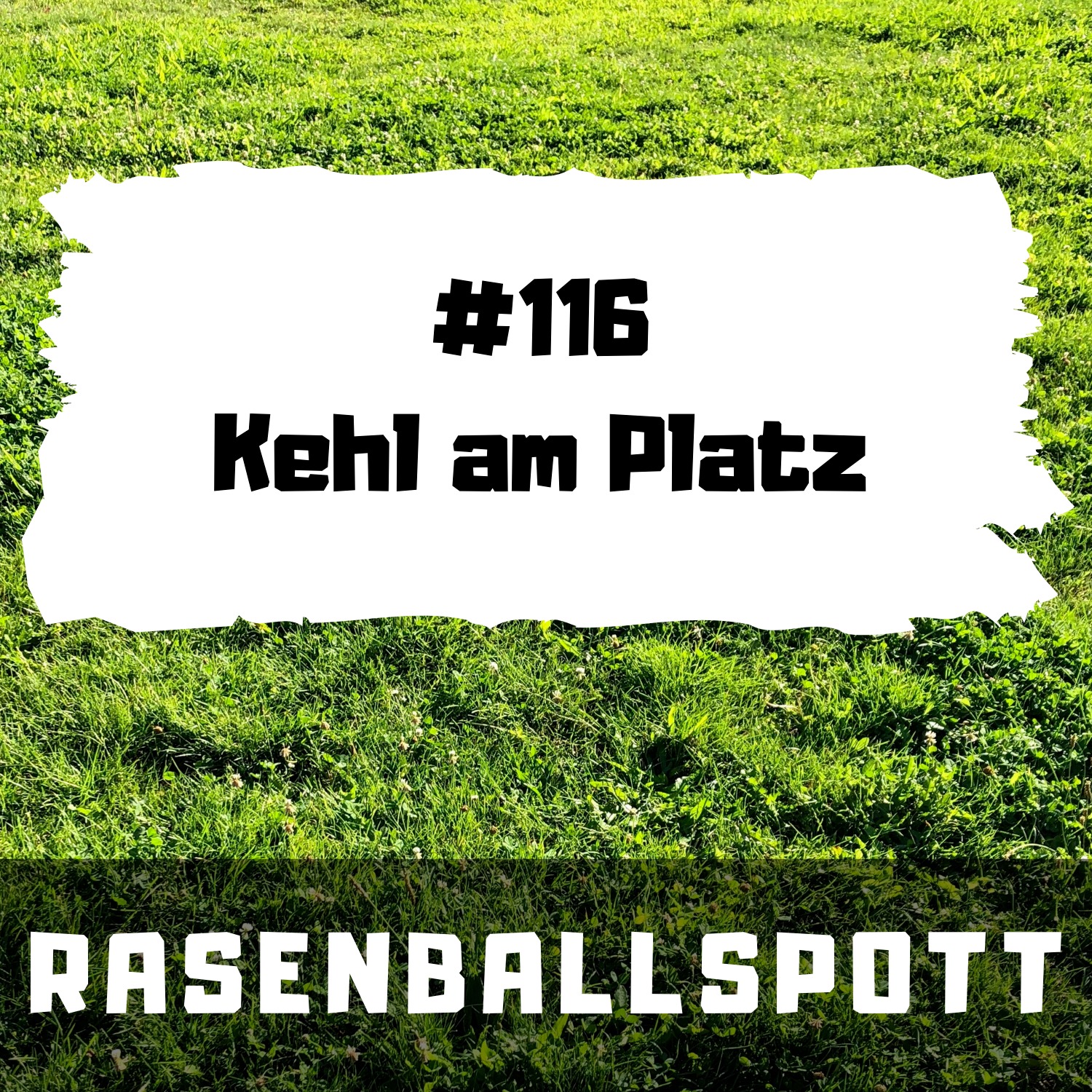 RASENBALLSPOTT