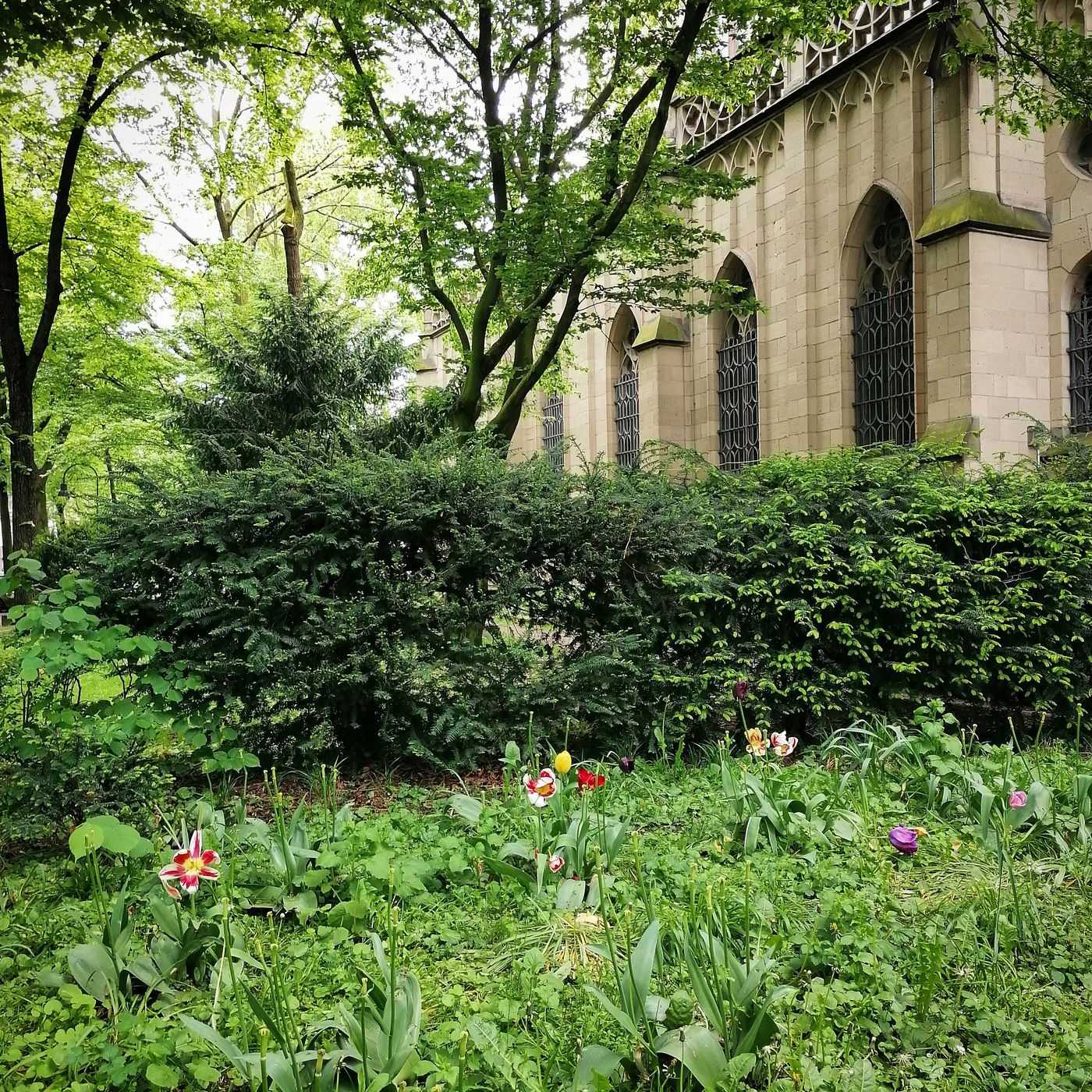 Agnes trifft - Ein Veedelspodcast aus dem Kölner Agnesviertel