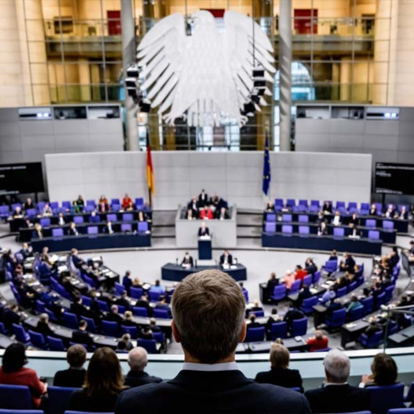 CannaZen 🥦 News & Wissen