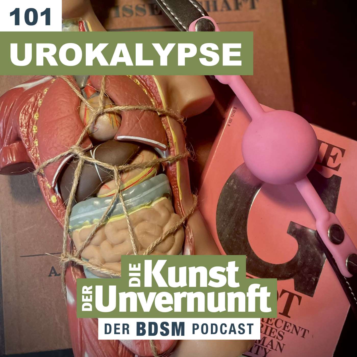BDSM - Die Kunst der Unvernunft