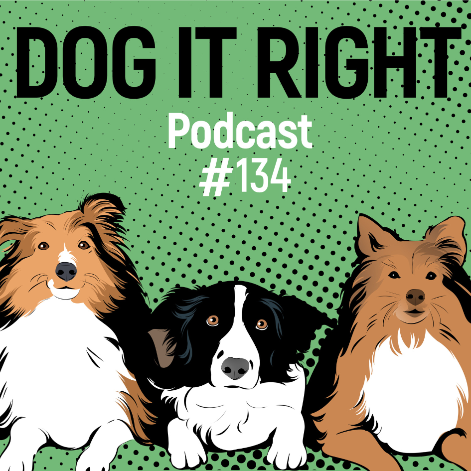 #134: Keine Panikmache, aber Silvester geht alle Hunde an