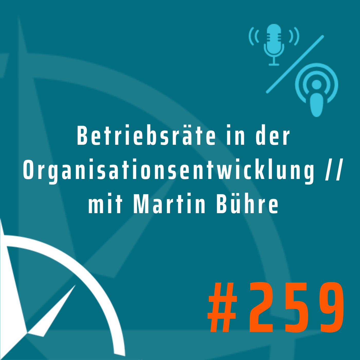 Die Rolle von Betriebsräten in der Organisationsentwicklung // mit Martin Bühre