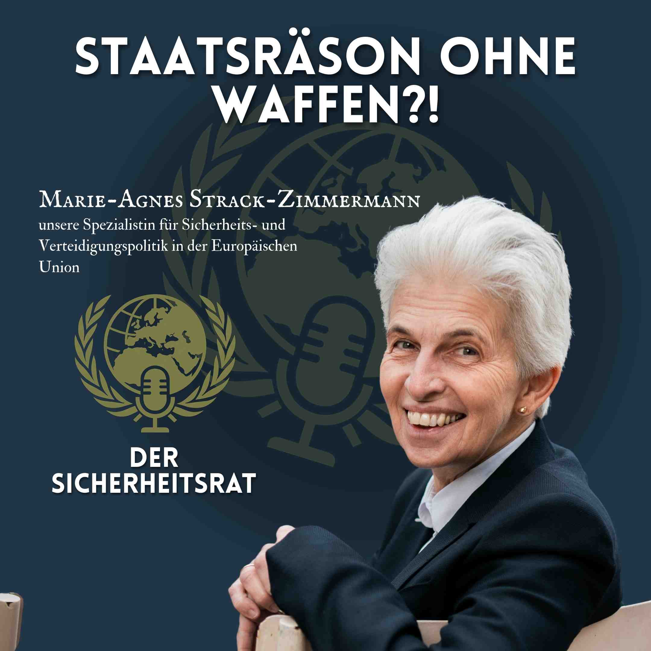 Der Sicherheitsrat - Dein Ratgeber für Sicherheitspolitik