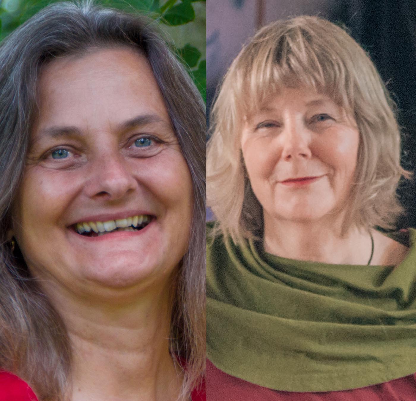 Zeitpunkt TERRA NOVA