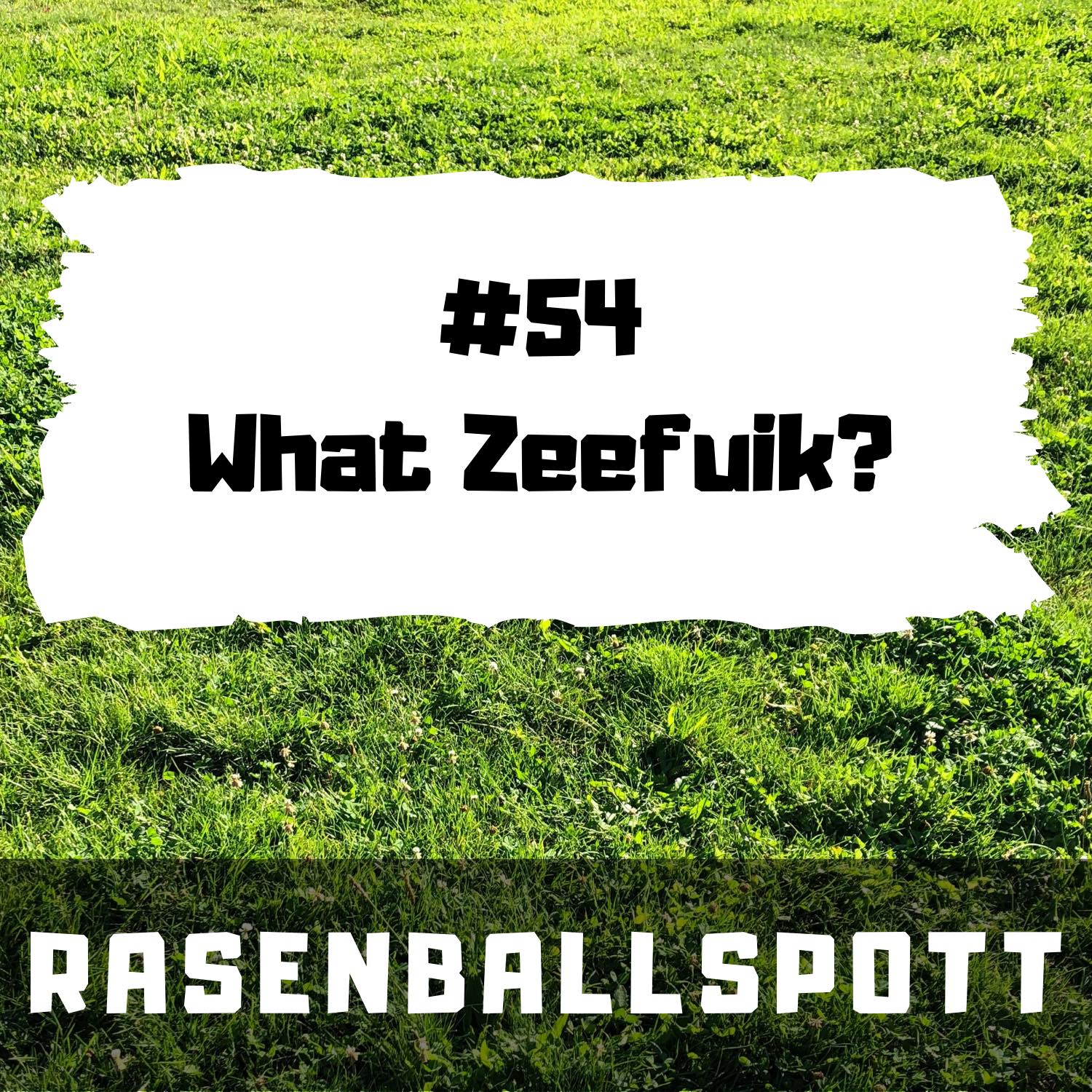 RASENBALLSPOTT