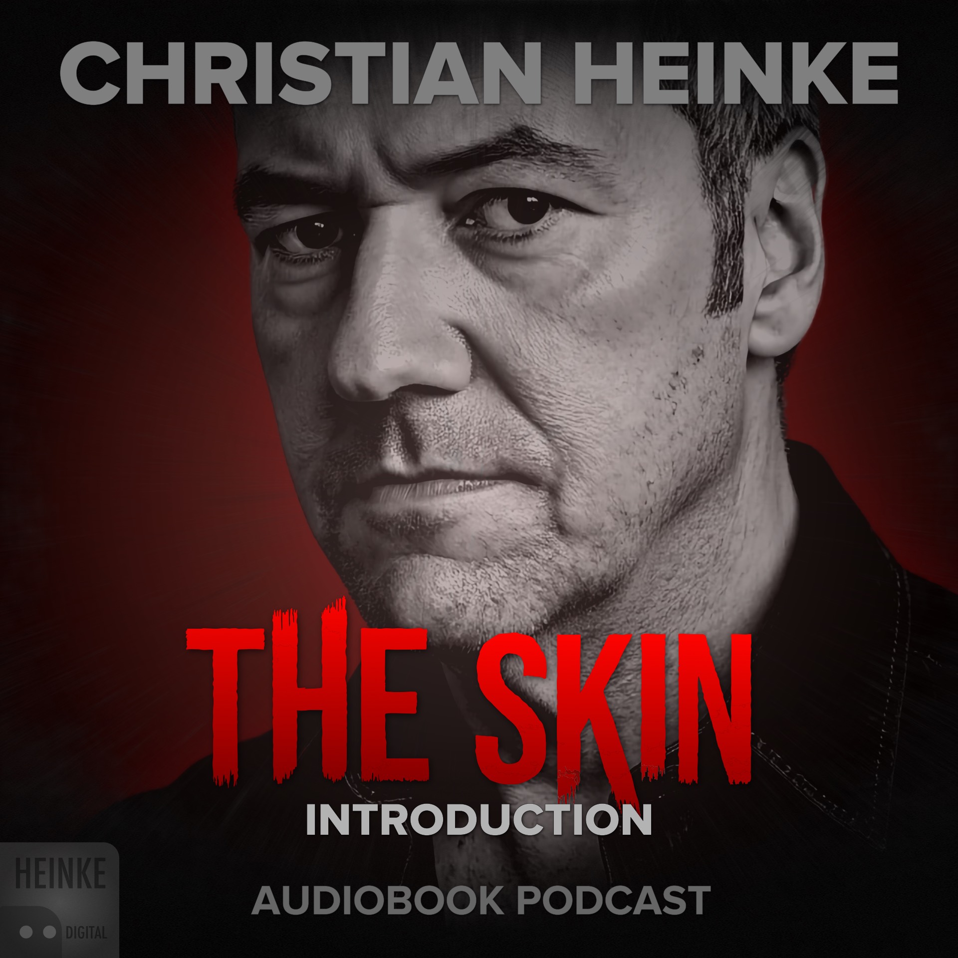 The Skin - Introduction