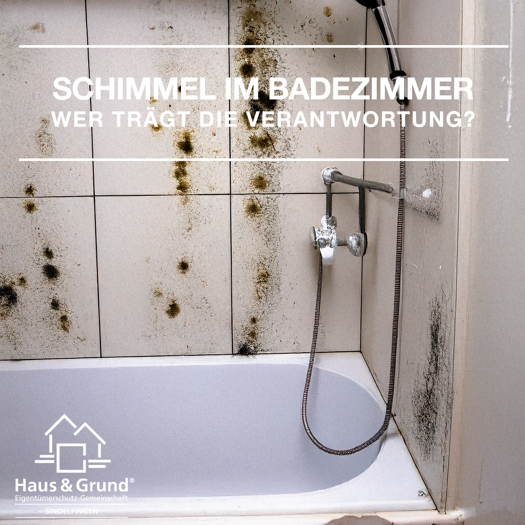 Haus und Grund Sindelfingen