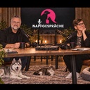 Napfgespräche - Experten über Ernährung von Hunden und Katzen und smarte Supplemente