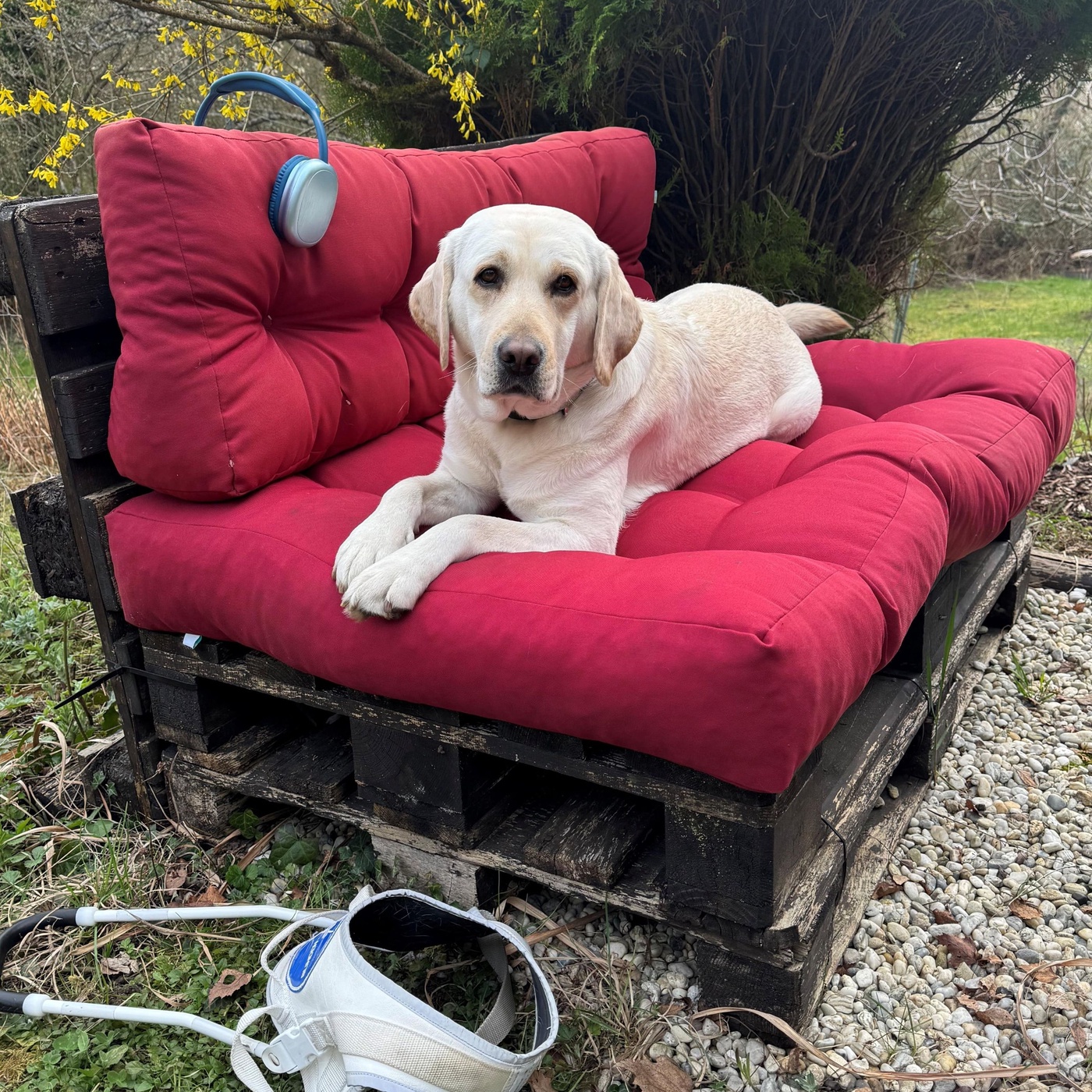 Alles rund um die Gespannprüfung