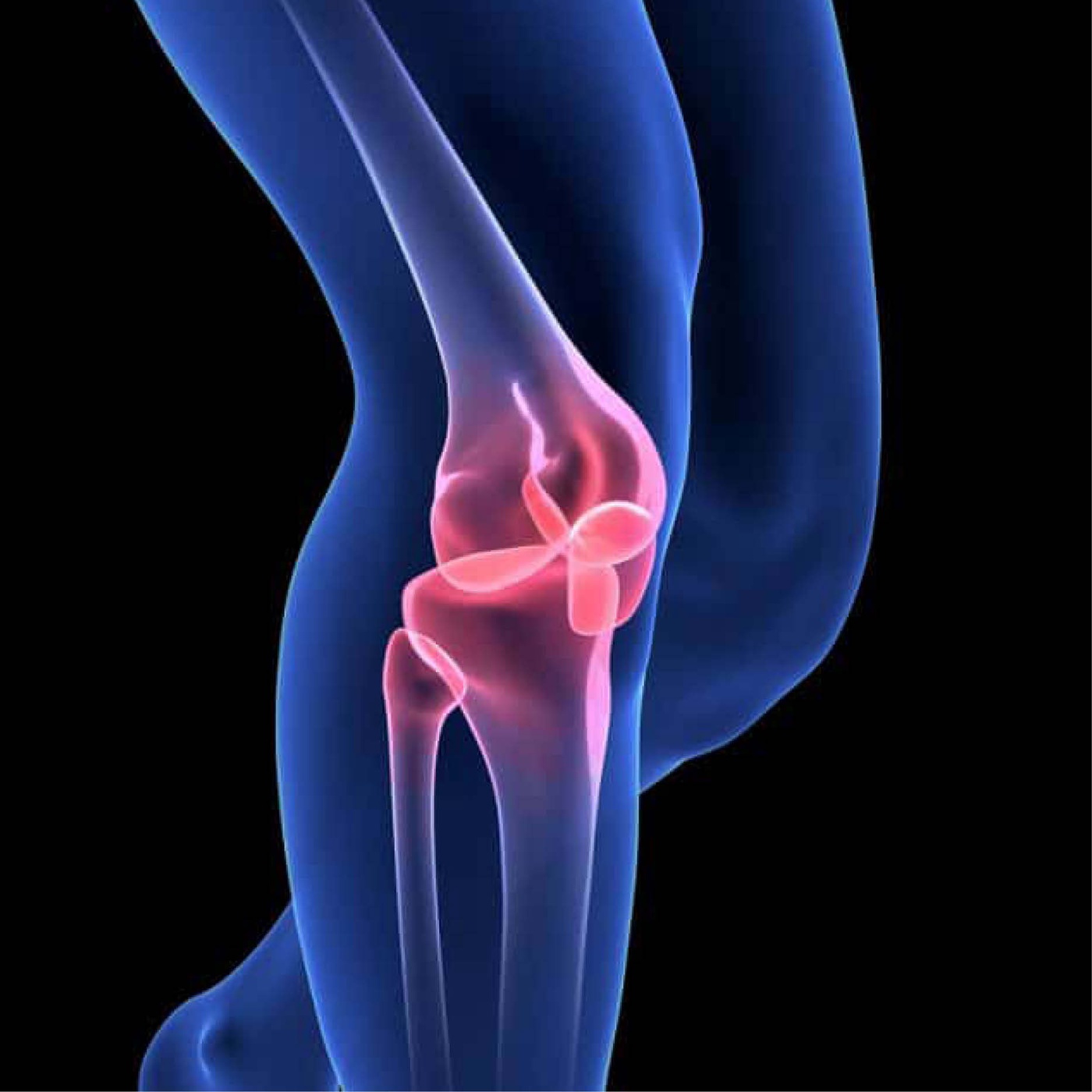 83_Gelenke + Bandscheiben